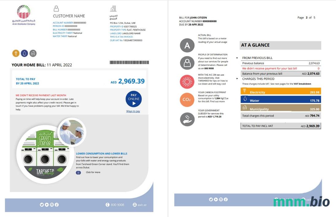 UAE Dubai Al Ain Distribution Co. Szablon rachunku za media Word i PDF (5 stron) 1 2